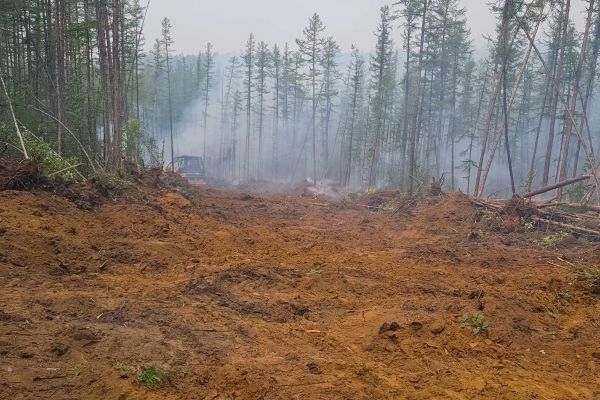 Cost of Hill Clearing in Richmond