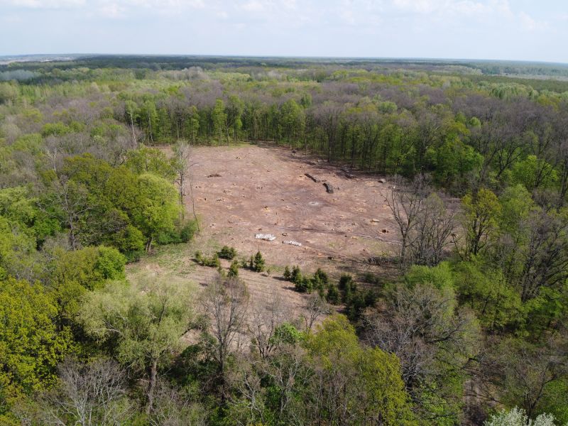 Land Clearing Before and After